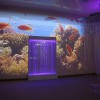 Проекционный дизайн "Виртуальная реальность" базовый комплект 500 анимаций - «globural.ru» - Всеволожск