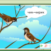 Интерактивное развивающее пособие "Говорящие картинки. Слушаем и повторяем" - «globural.ru» - Всеволожск