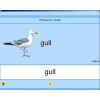 Английский язык. Освоение клавиатуры - «globural.ru» - Всеволожск