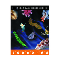 Зоология. Микрофотографии. (Цифровая база изображений) - «globural.ru» - Всеволожск