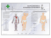Электрифицированный стенд "Остановка кровотечения" - «globural.ru» - Всеволожск