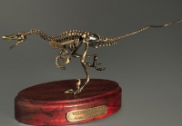 Модель скелета динозавра Velociraptor - «globural.ru» - Всеволожск