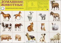 Демонстрационные карточки "Домашние животные" - «globural.ru» - Всеволожск