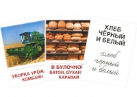 Раздаточные карточки "Хлеб всему голова" - «globural.ru» - Всеволожск