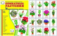 Демонстрационные карточки "Комнатные растения" - «globural.ru» - Всеволожск