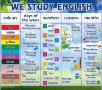 Стенд "We study english" - «globural.ru» - Всеволожск