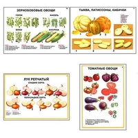 Плакаты ПРОФТЕХ "Ассортимент овощных культур" (12 пл, винил, 70х100) - «globural.ru» - Всеволожск