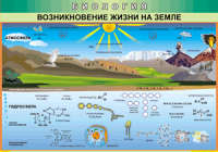 Таблица Возникновение жизни на Земле 1000*1400 винил - «globural.ru» - Всеволожск