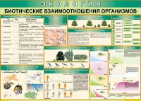 Таблица Биотические взаимоотношения организмов 1000*700 (винил) - «globural.ru» - Всеволожск