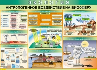 Таблица Антропогенное воздействие на биосферу 1000*700 винил - «globural.ru» - Всеволожск