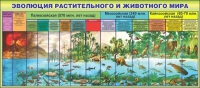 Стенд "Эволюция растительного и животного мира" - «globural.ru» - Всеволожск