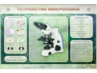 Электрифицированный стенд "Устройство микроскопа и правила работы c ним" - «globural.ru» - Всеволожск