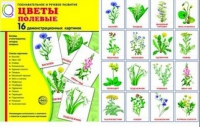 Демонстрационные карточки "Цветы полевые" - «globural.ru» - Всеволожск