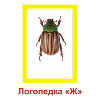 Логопедка "Ж" (логопедические карточки) - «globural.ru» - Всеволожск