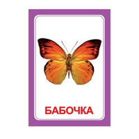 Логопедка "Ч" (логопедические карточки) - «globural.ru» - Всеволожск