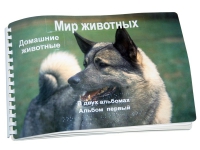 Пособие для слабовидящих "Домашние животные" - «globural.ru» - Всеволожск