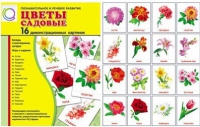 Демонстрационные карточки "Цветы садовые" - «globural.ru» - Всеволожск