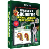 Наглядная биология. Человек. Строение тела человека - «globural.ru» - Всеволожск