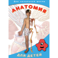 DVD  Анатомия для детей - «globural.ru» - Всеволожск