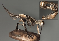 Модель скелета динозавра Tyrannosaurus - «globural.ru» - Всеволожск