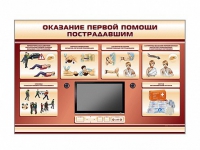 Многофункциональный интерактивный стенд-тренажер "Оказание первой помощи пострадавшим" для учащихся общеобразовательных учреждений - «globural.ru» - Всеволожск