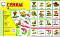 Демонстрационные карточки  "Грибы съедобные и не съедобные" - «globural.ru» - Всеволожск