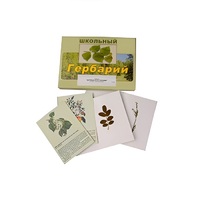 Гербарий "Деревья и кустарники" (22 вида, с иллюстрациями) - «globural.ru» - Всеволожск