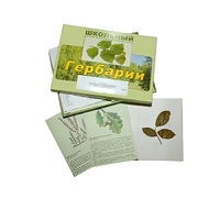 Гербарий "Дикорастущие растения" (30 видов, с иллюстрациями) - «globural.ru» - Всеволожск