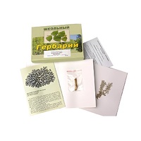 Гербарий "Водоросли. Грибы. Лишайники" (раздаточный) - «globural.ru» - Всеволожск