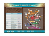 Интерактивный электрифицированный стенд "Эволюция животного мира" - «globural.ru» - Всеволожск