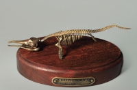 Модель скелета ихтиозавра Ichthyosaurus - «globural.ru» - Всеволожск