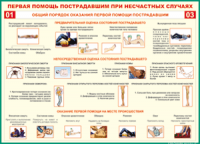 Таблица Общий порядок оказания первой помощи пострадавшим 1000*1400 винил	 - «globural.ru» - Всеволожск