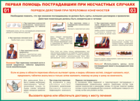 Таблица Порядок действий при переломах конечностей 1000*1400 винил - «globural.ru» - Всеволожск