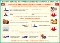 Таблица Порядок действий при коматозном состоянии пострадавшего 1000*1400 винил - «globural.ru» - Всеволожск