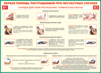 Таблица Порядок действий при ранениях и термических ожогах	 1000*1400 винил - «globural.ru» - Всеволожск