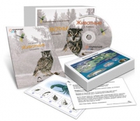 Комбинированное наглядное пособие «Животные» - «globural.ru» - Всеволожск