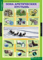 Окружающий мир 4 класс (комплект таблиц) - «globural.ru» - Всеволожск