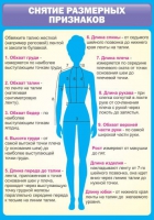 Стенд "Снятие мерок" (вариант 2) - «globural.ru» - Всеволожск