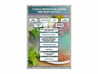 Стенд "Схема приготовления мясных котлет" - «globural.ru» - Всеволожск