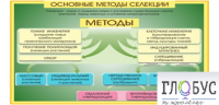 Стенд "Методы селекции и биотехнологии" - «globural.ru» - Всеволожск