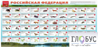 Стенд "Красная книга РФ" - «globural.ru» - Всеволожск