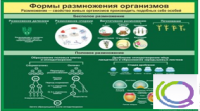 Стенд "Формы размножения организмов" - «globural.ru» - Всеволожск