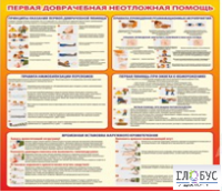 Стенд "Первая доврачебная неотложная помощь" - «globural.ru» - Всеволожск