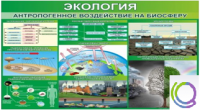Стенд "Экология. Антропогенное воздействие на биосферу" - «globural.ru» - Всеволожск