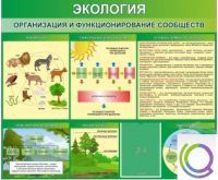 Стенд "Экология. Организация и функционирование сообществ" - «globural.ru» - Всеволожск