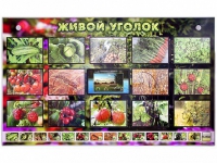 Комплект оборудования "Живой уголок" (растения) с тифлопереводом и сурдокомментариями - «globural.ru» - Всеволожск