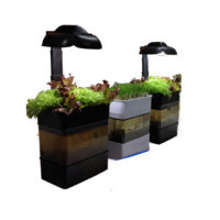 Учебная установка "Аквапоника"  - «globural.ru» - Всеволожск