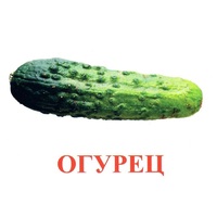 Карточки Домана "Овощи-Зелень-1" - «globural.ru» - Всеволожск
