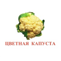 Карточки Домана "Овощи-Зелень-2" - «globural.ru» - Всеволожск