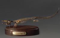 Модель скелета мозазавра Mosasaurus - «globural.ru» - Всеволожск